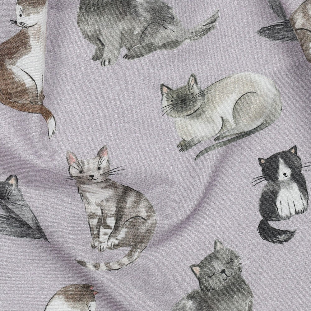 Baumwolle Popeline Katzen