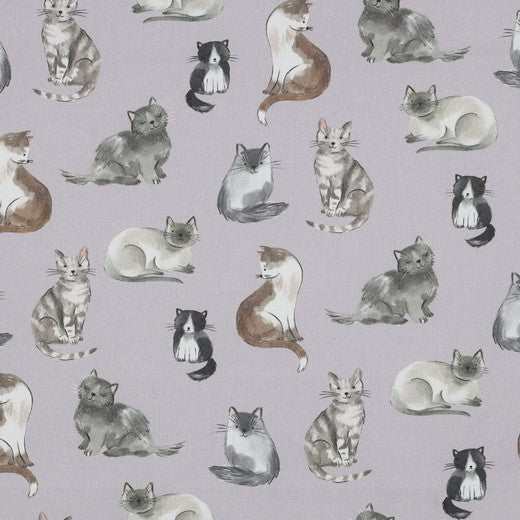 Baumwolle Popeline Katzen