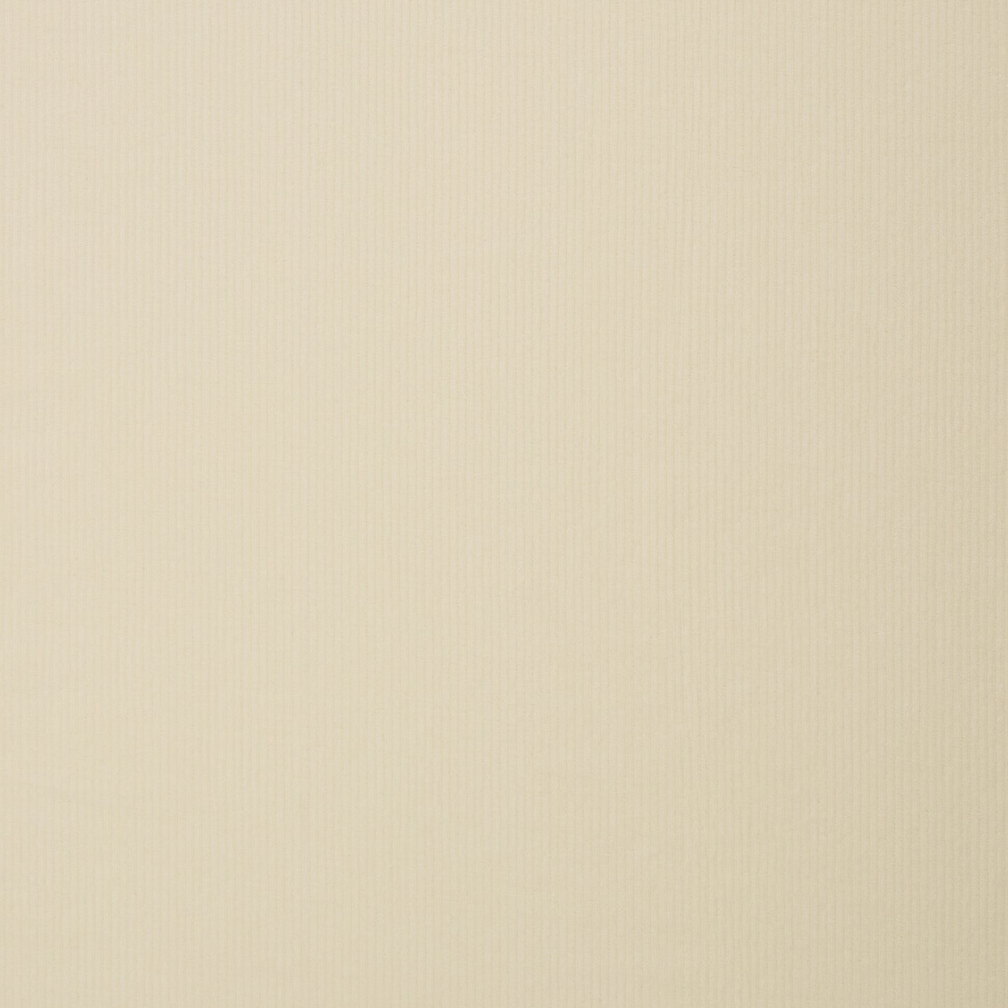 Cordjersey / Nicky Uni Juna von Swafing