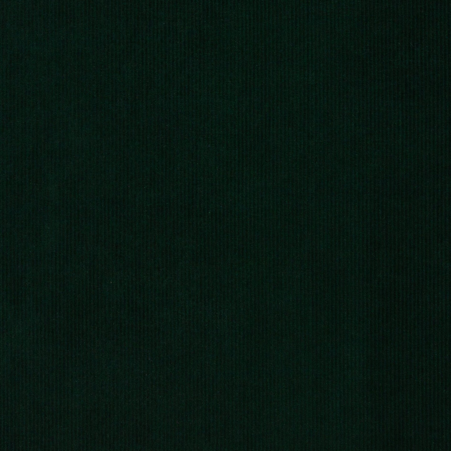 Cordjersey / Nicky Uni Juna von Swafing dunkelgrün