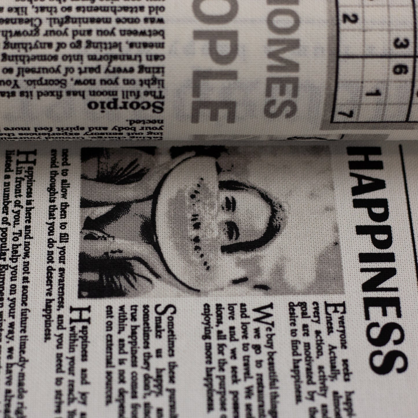 Canvas Leinenoptik „Amar“ Zeitung Swafing