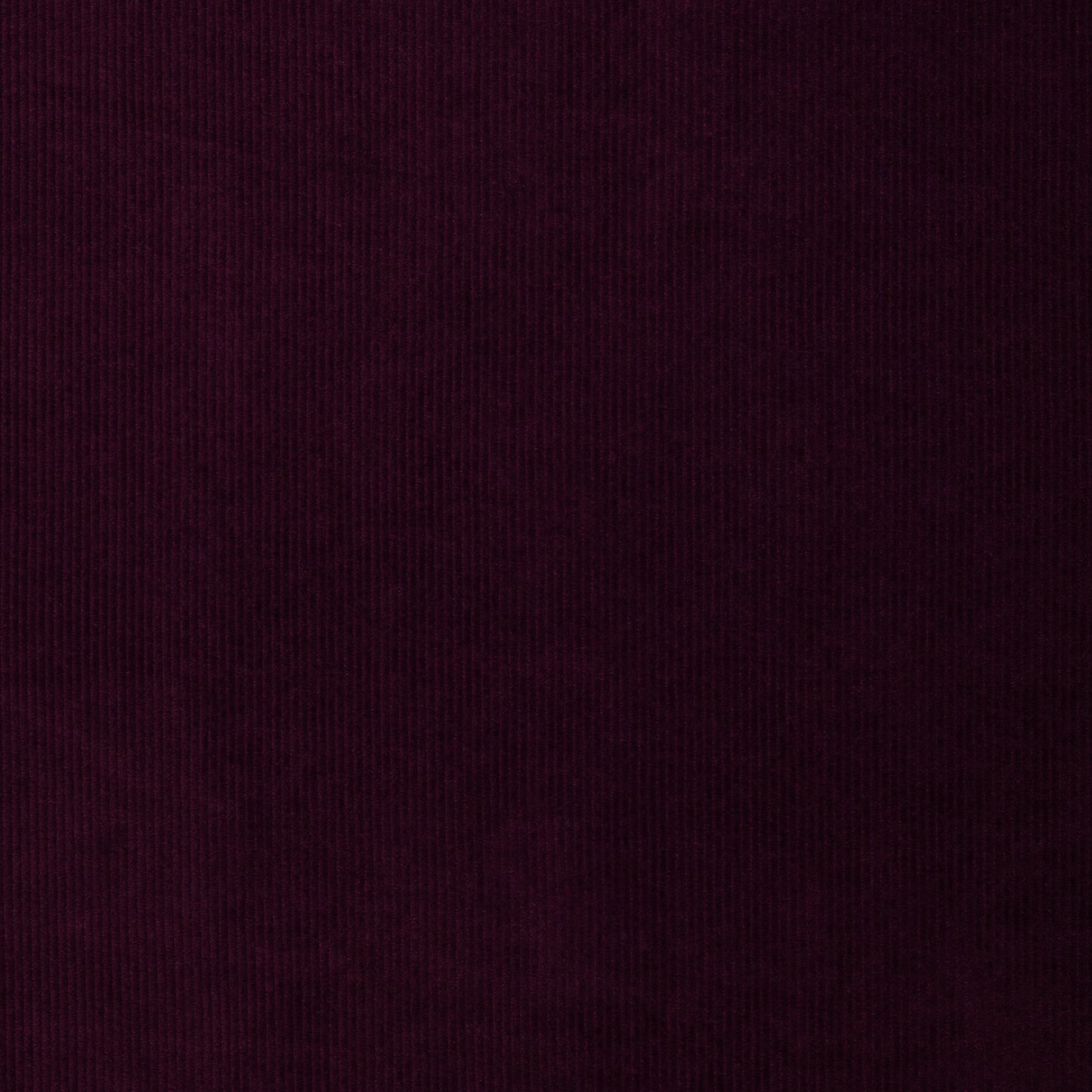 Cordjersey / Nicky Uni Juna von Swafing