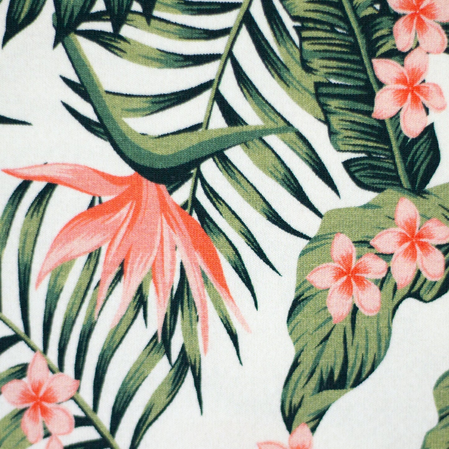 Jersey Summer – Baumwolljersey Monstera Strelitzie Frangipani | Swafing