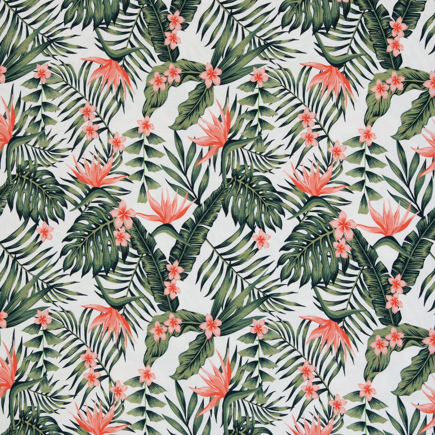 Jersey Summer – Baumwolljersey Monstera Strelitzie Frangipani | Swafing