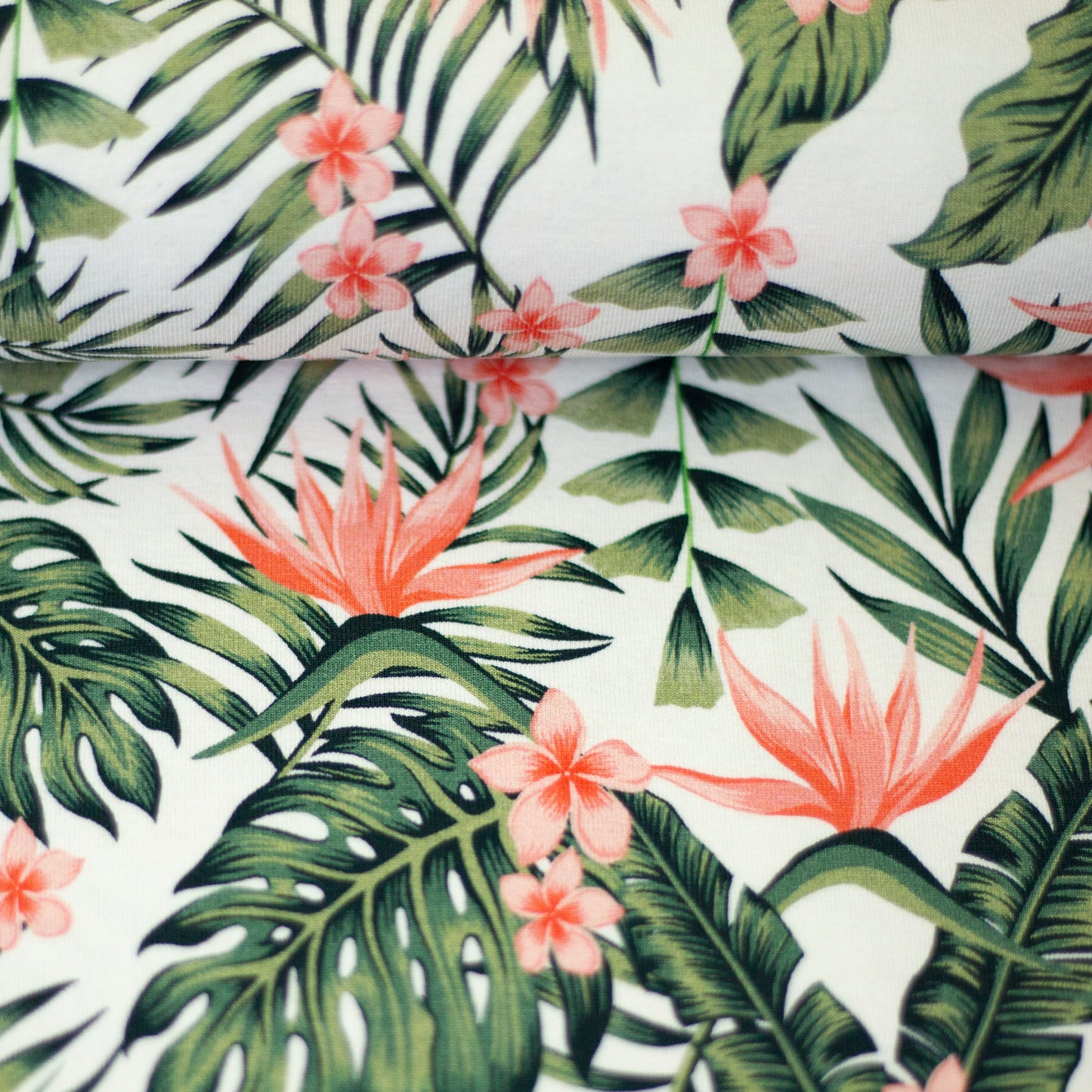 Jersey Summer – Baumwolljersey Monstera Strelitzie Frangipani | Swafing