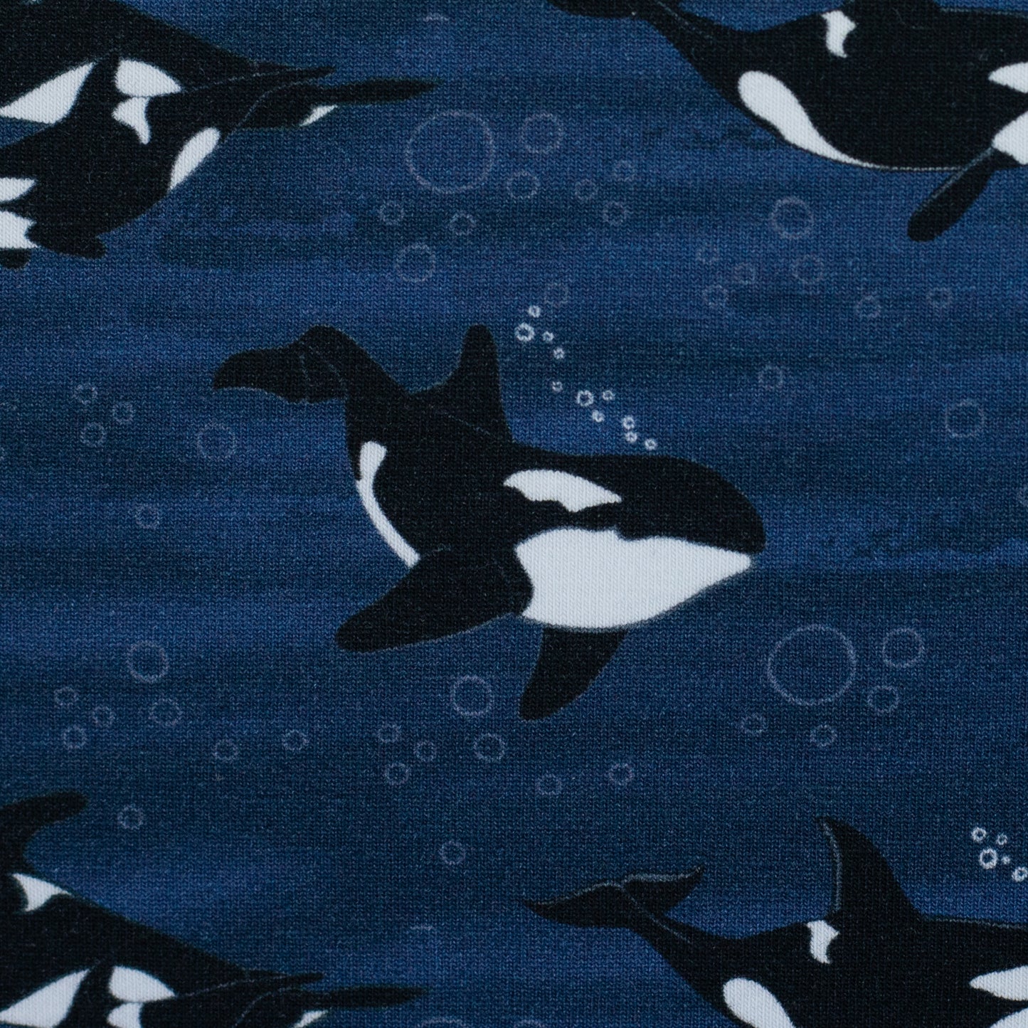 Baumwolljersey Orca Wal Arctic Animals by JaTiJu Swafing dunkelblau