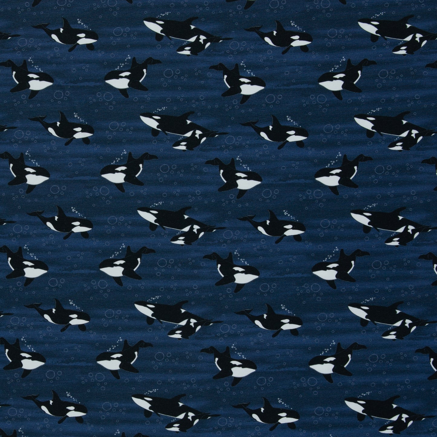 Baumwolljersey Orca Wal Arctic Animals by JaTiJu Swafing dunkelblau