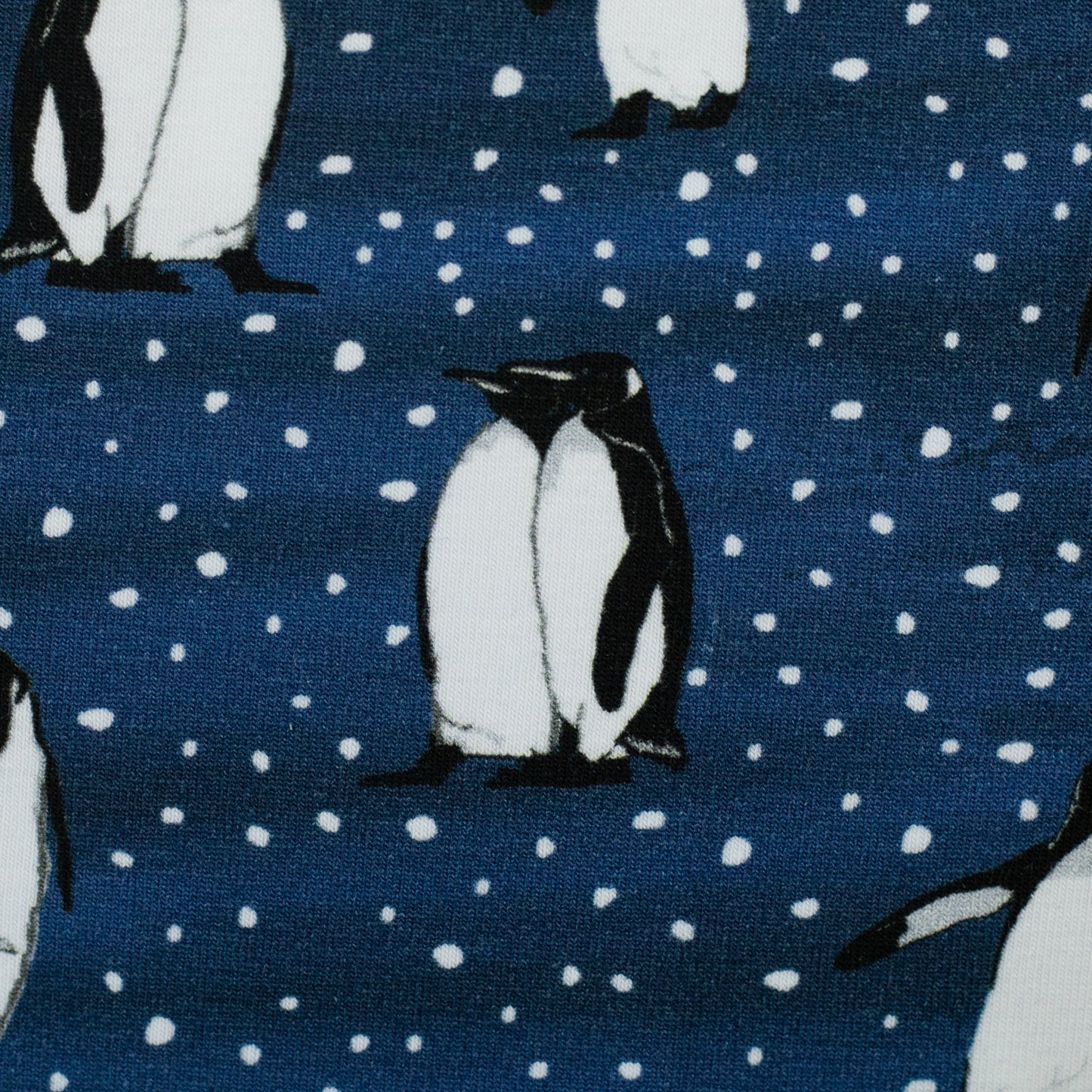Baumwolljersey Pinguin Arctic Animals by JaTiJu Swafing dunkelblau