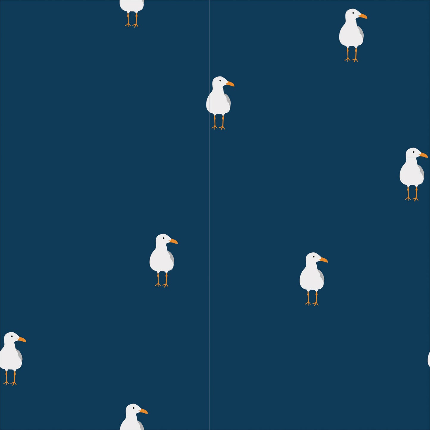 Jersey Möwe maritim