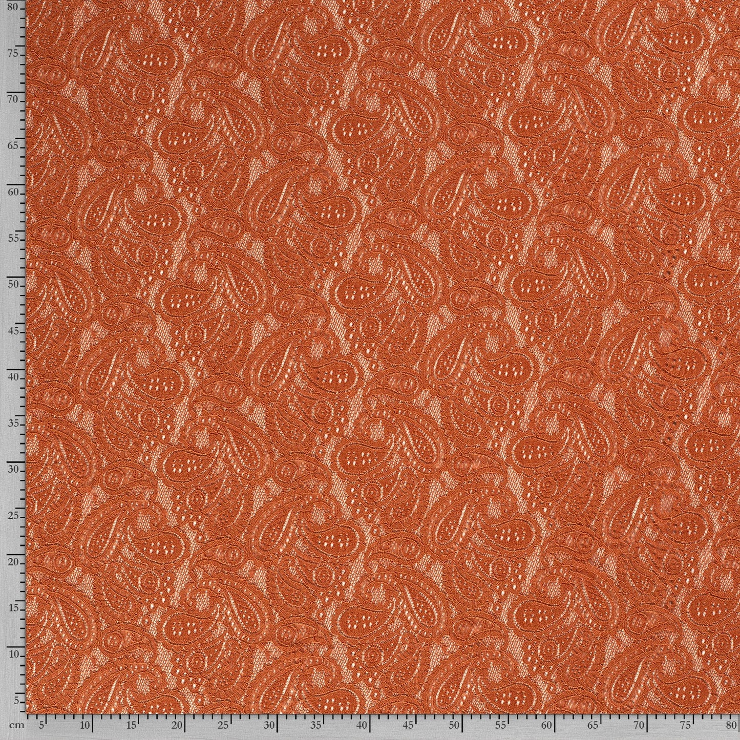 Spitze elastisch Paisley
