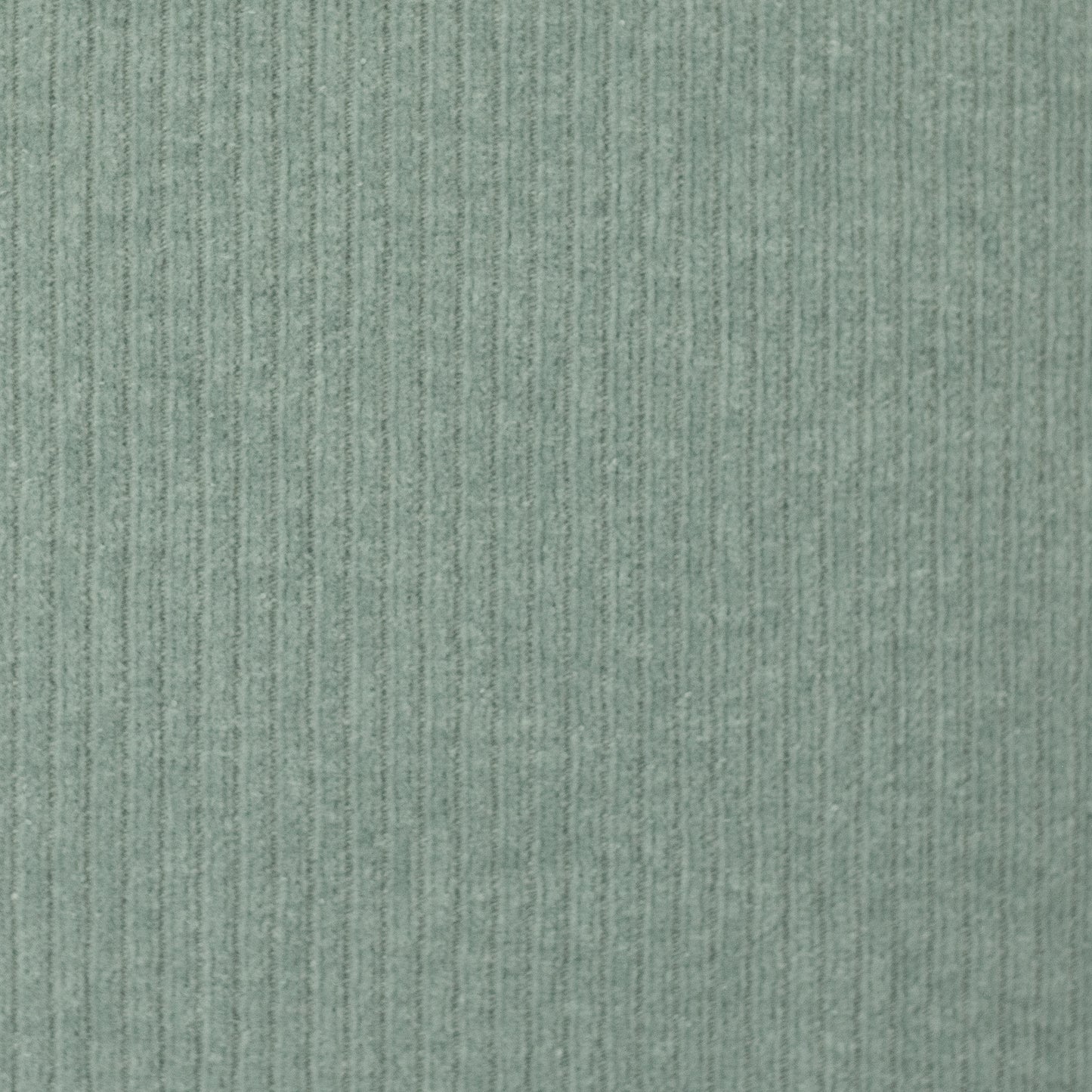 Cordjersey / Nicky Uni Juna von Swafing