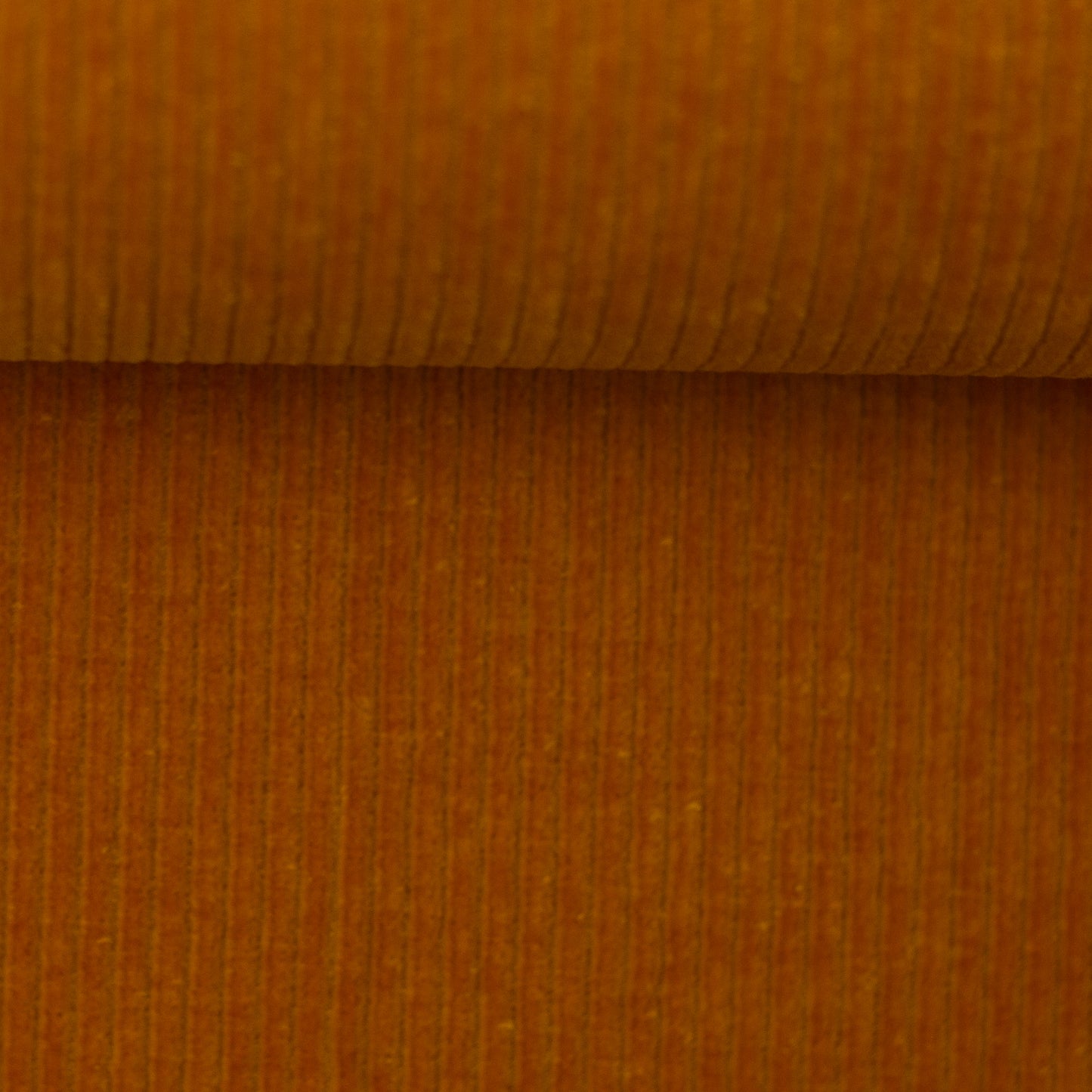 Cordjersey / Nicky Uni Juna von Swafing