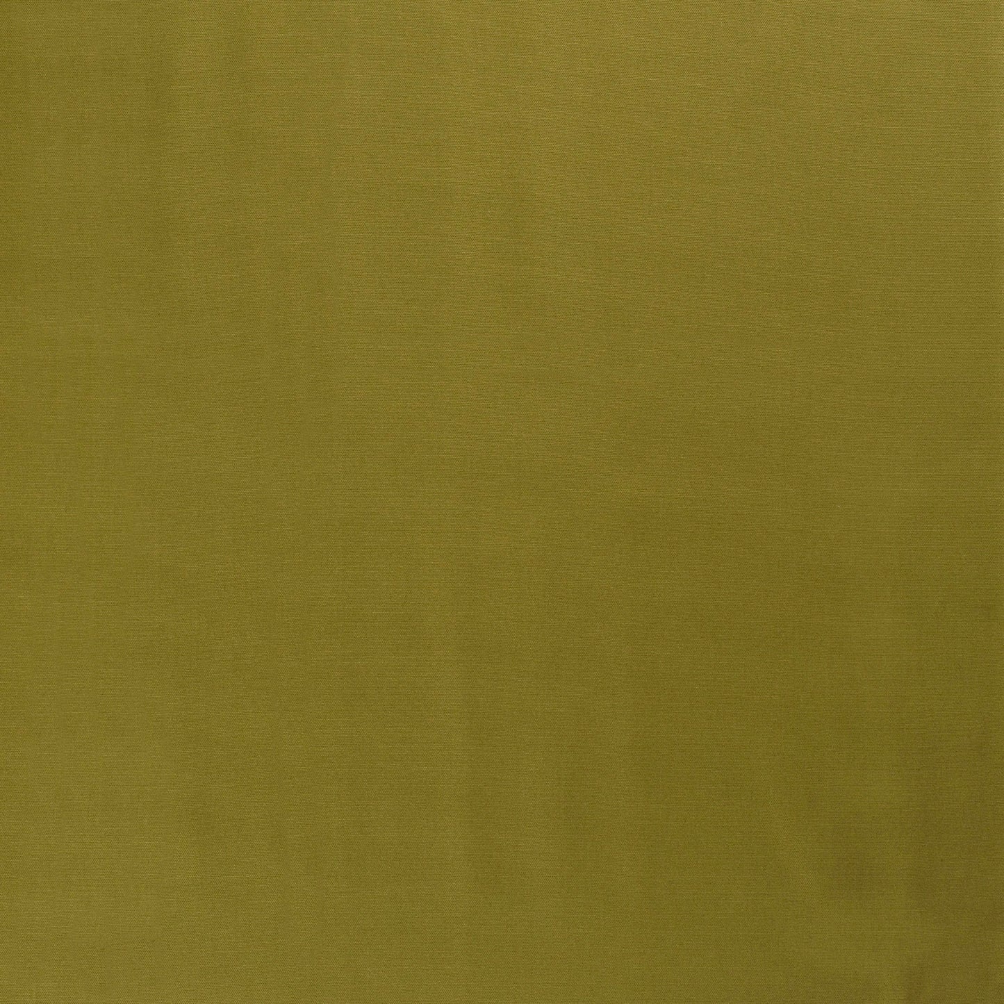 Canvas Uni