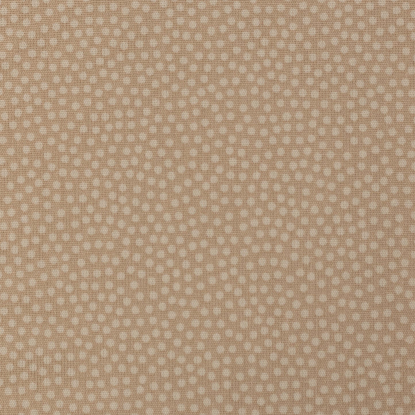 Baumwolle "Dotty" Swafing