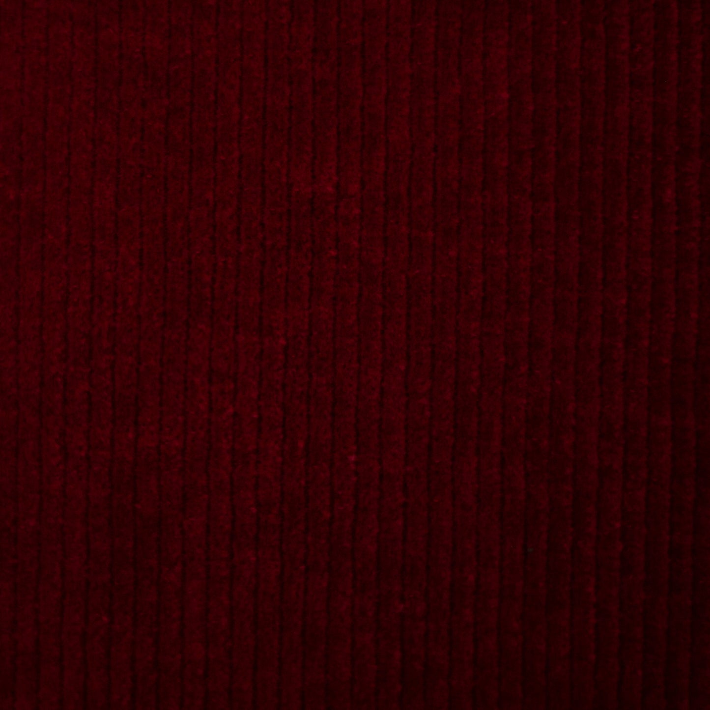 Cordjersey / Nicky Uni Juna von Swafing burgunder