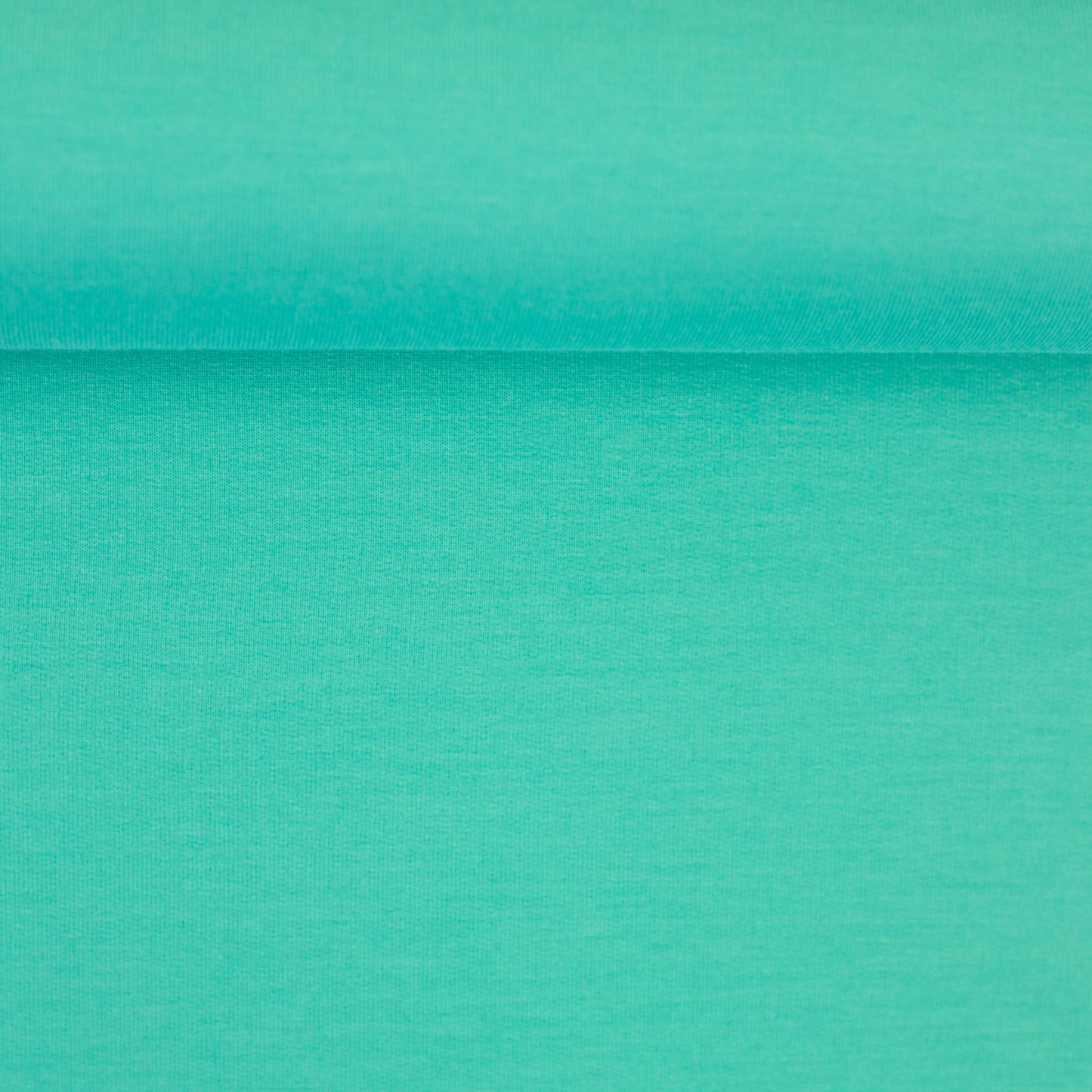 Modal French Terry von Swafing mint