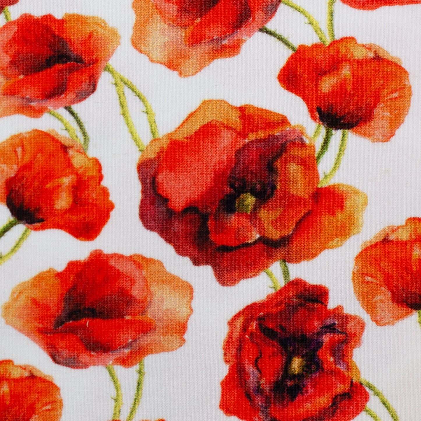Jersey Mohnblume Elias Swafing