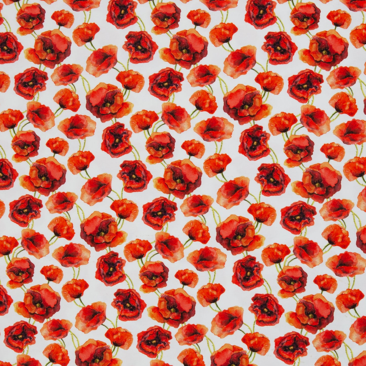 Jersey Mohnblume Elias Swafing