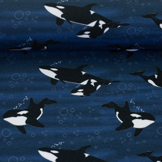 Baumwolljersey Orca Wal Arctic Animals by JaTiJu Swafing dunkelblau