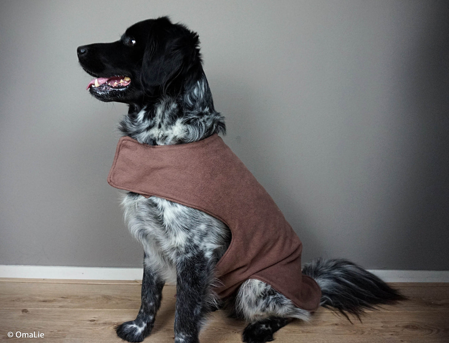 Baumwoll-Fleece braun Carlos von Swafing