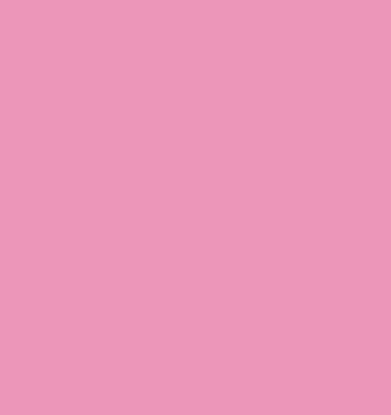 Ritrama Vinylfolie matt rosa 30,5cm breit